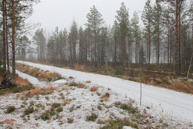 Hirvijahdin aloitus varsin talvisessa säässä
