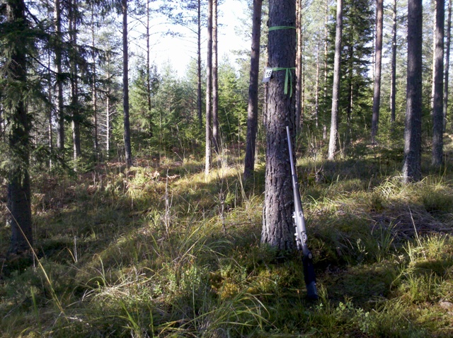 Hirvijahti on alkanut